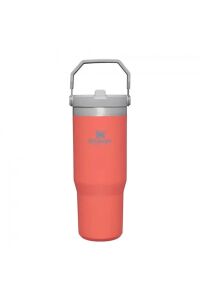 Stanley The IceFlow Flip Straw Pipetli Termos Bardak 0,89 LT