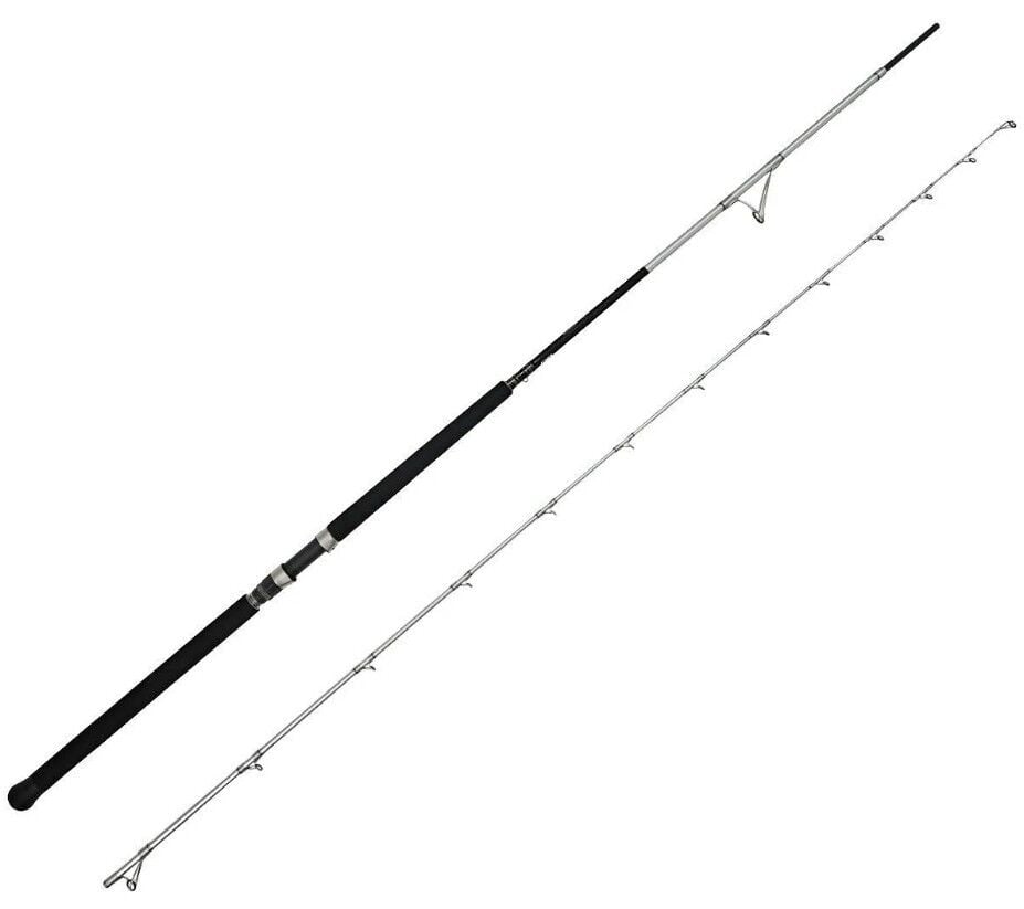 Yek Outdoor Profesyonel Jig Olta Seti Okuma Azores Shore Jigging Spin 292cm 20-80gr 2 Parça Olta Kamışı&Savage Gear SGS8 4000 FD Olta Makinesi