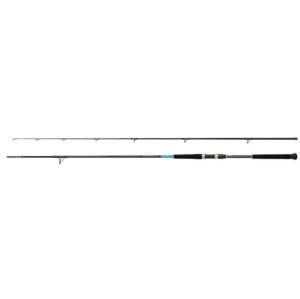 Shimano Kamış Bassterra XT Shore Jigging 10'0'' 30-100g